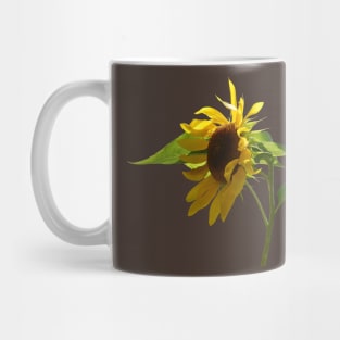 Backlit Sunflower Mug